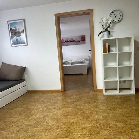 Fewo Haus Ema Lahr/Schwarzwald Kültér fotó